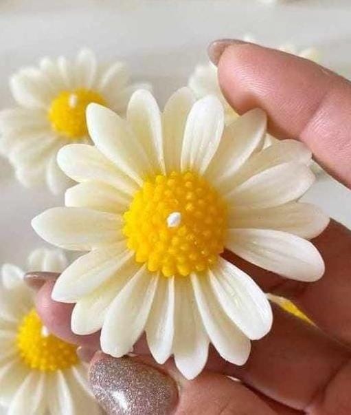 شمعة وردة الشمس